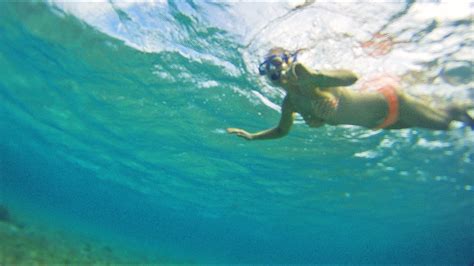 Maui Snorkeling With Sea Turtles Youtube