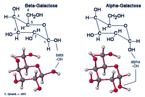 Galactose Chemistry Libretexts