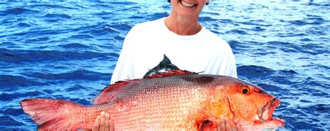 145kg Two Spot Red Snapper World Record All Tackle On Baiting 25 11