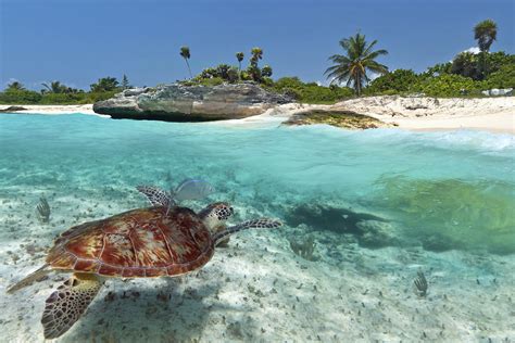 Yucatán Peninsula Travel Destinations Lonely Planet