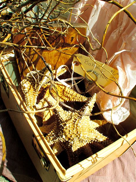 Consider using google or protonmail. Featured Dealer May 2011 ~ The Tattered House | Alameda ...