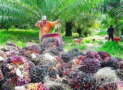 Para pelamar pun harus menyanggupi semua aturan dan persyaratan tersebut. Kajian Tempatan Tahun 6: Jenis-Jenis Perindustrian di Malaysia