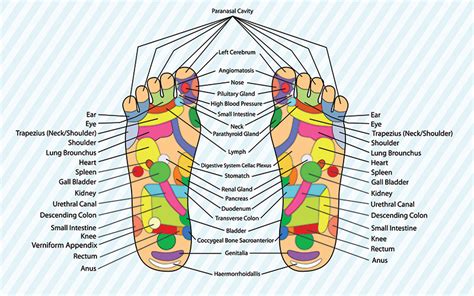 Health Benefits Of Chinese Foot Massage Therapy Chinese Holiday Massage