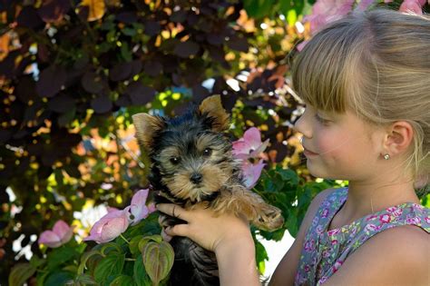 Regalar Mascotas Una Mala Idea Mamá Hace Magia