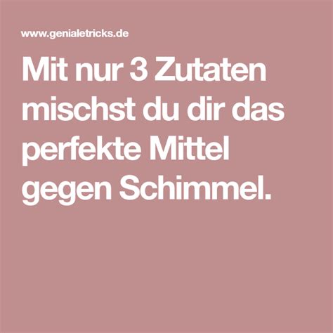 Gerade in der kalten jahreszeit macht sich schimmel in vielen bereichen breit. Hausmittel gegen Schimmel: Dieses Spray beseitigt den Pilz ...