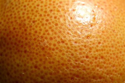 Grapefruit Skin Macro Texture Picture Free Photograph Photos Public