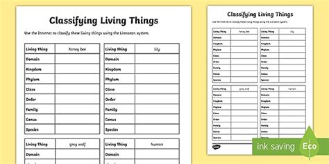 Classifying Living Things Worksheet Teacher Made Twinkl