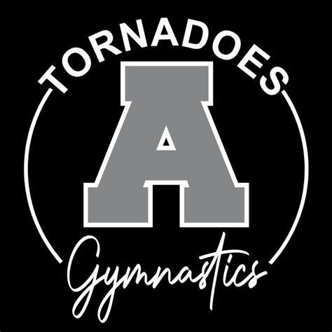 Anoka High School Gymnastics Team