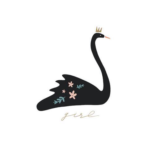 Black Swan Illustrations Royalty Free Vector Graphics And Clip Art Istock