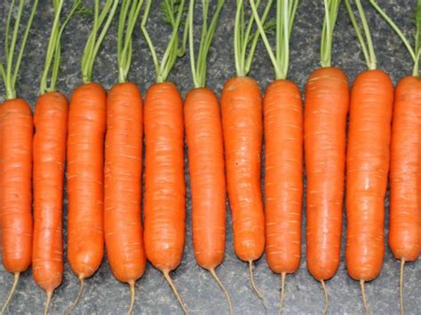 Varieties Of Carrots To Grow Hgtv