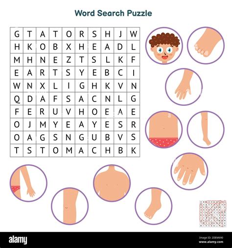 Human body parts puzzle hi-res stock photography and images