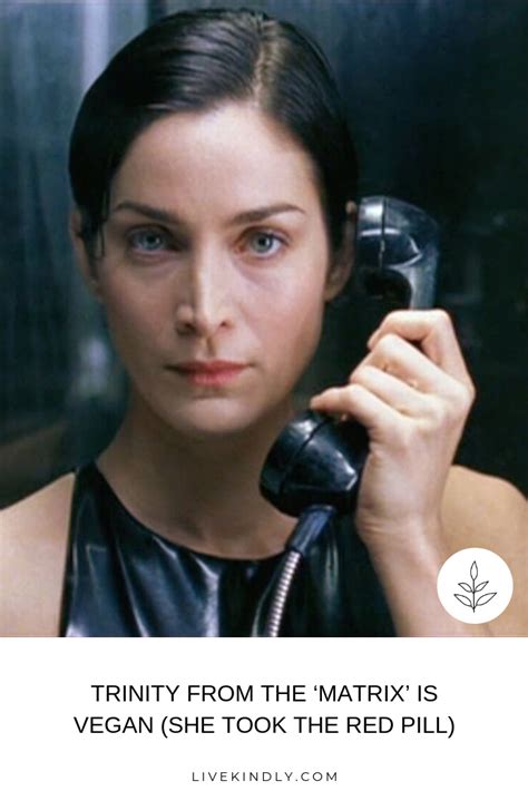 Vegan Actor Carrie Anne Moss Will Star Alongside Keanu Reaves In The Upcoming Fourth Film In The