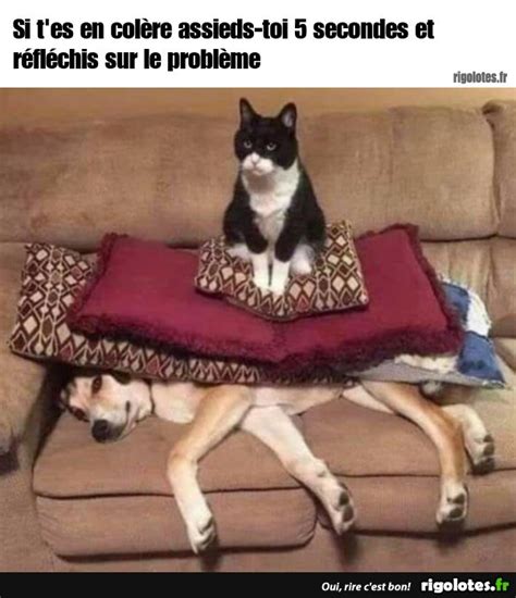 Si t'es en colère assieds-toi .. - Blagues et les meilleures images drôles!