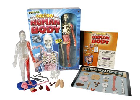 SmartLab Squishy Human Body Model Only $16.79! (Reg. $28!) | Free Homeschool Deals