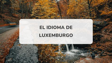 Lingua Falada Em Luxemburgo