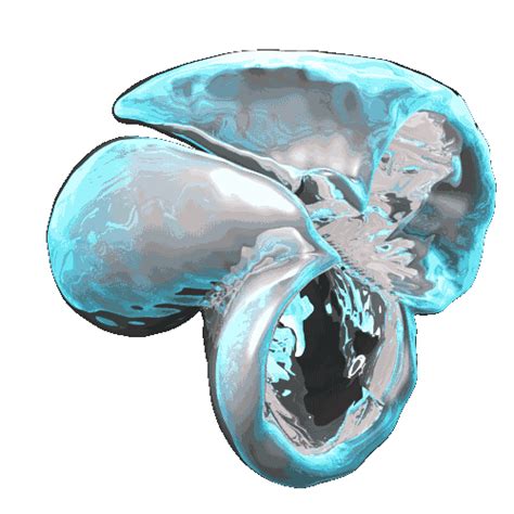 We did not find results for: transparent technology gif | WiffleGif