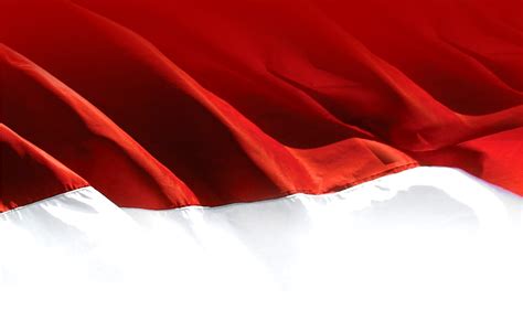 Free Download Wallpaper Bendera Merah Putih Bendera Merah Putih