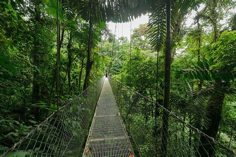 Costa Ricas Natural Wonders Volcanoes Hot Springs Cloud Forests