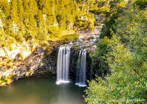 Dangar Falls Dorrigo Nsw Falls Are Just North Of Dorrigo Flickr