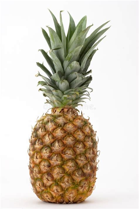 Whole Pineapple Stock Image Image Of Stem Spike Pineapple 1985221