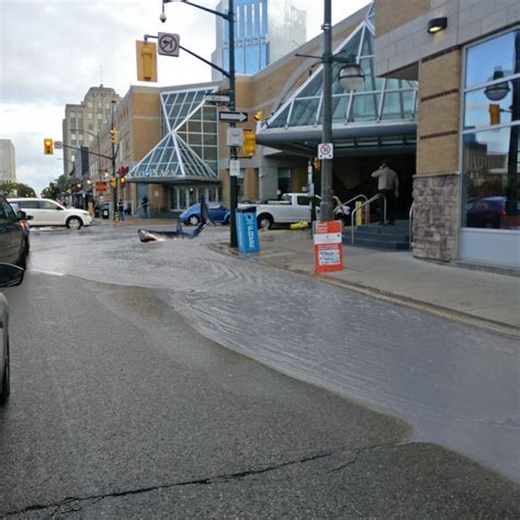Find the perfect london ontario downtown stock photos and editorial news pictures from getty browse 32 london ontario downtown stock photos and images available, or start a new search to. Shark Spotted In Downtown London Ontario | Noah J. Stewart