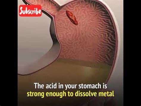 Hydrochloric acid (also called hcl, hcl acid or betaine hydrochloride in supplement form) is considered one of the most important fluids (or juices. HCL(hydrochloric acid) in our Stomach_functions ...