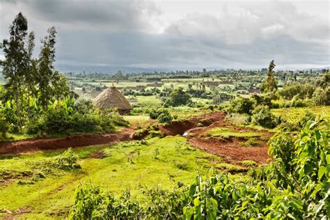 Rural Ethiopian Village Stock Photo Image Of Oromia 65442738