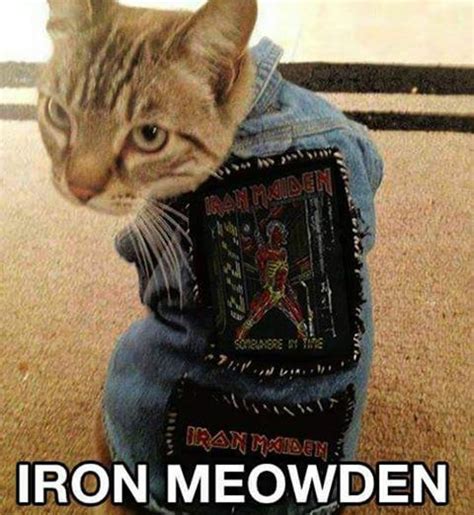 Discussion, pics, videos, art, you name it. The best iron maiden memes :) Memedroid