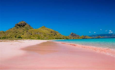 7 Amazing Pink Beaches In The World Moco Choco
