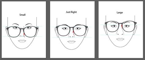 how are glasses supposed to fit on your face ~ a division of eyewear insight