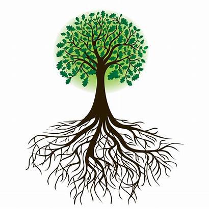 Leadership Roots Tree Mindful Mindfulness Value Learning