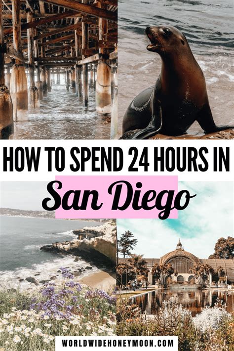 The Best One Day In San Diego Itinerary California Travel Road Trips