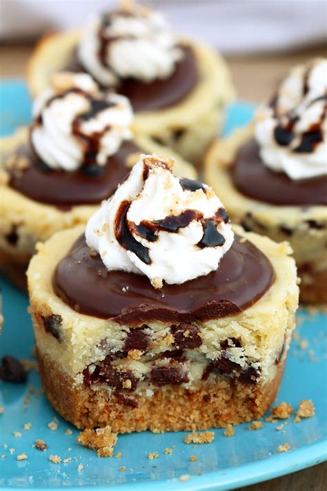 Chocolate Chip Mini Cheesecake Sweet Spicy Kitchen