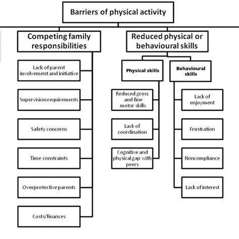 Pdf Identifying The Barriers And Facilitators To Participation In