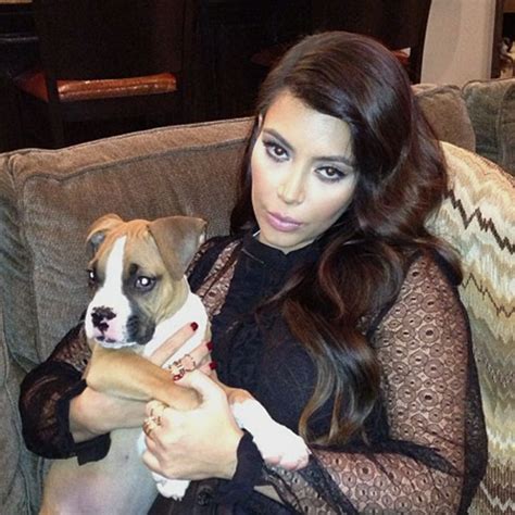 What Happened To All The Kardashian Jenner Pets