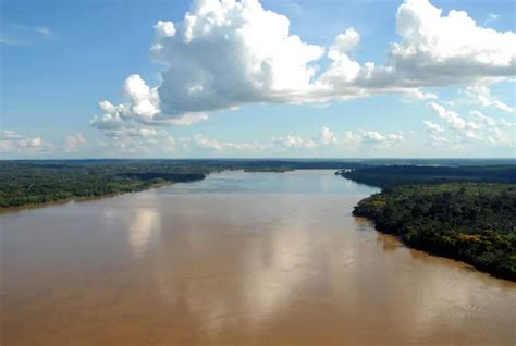 Rio Amazonas Historia Origen Características Profundidad Y Mas