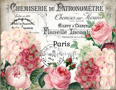 Shabby Chic Vintage Pink French Paris Roses And Hydrangeas 1 Etsy