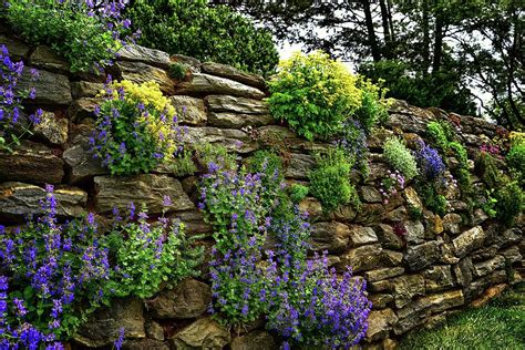 Flower Garden Walls