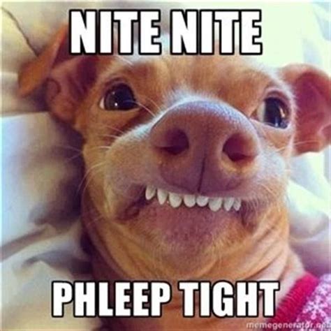 Good Night Funny Animal Pics Funny Animal Quotes Hilarious Pictures