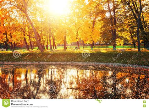 Autumn Landscape Of Sunny Autumn Park Lit By Sunshine Autumn Park With