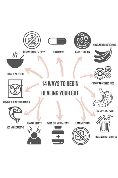 14 Ways To Begin Your Gut Healing For Healthy Digestion Gut Health Recipes Improve Gut Health