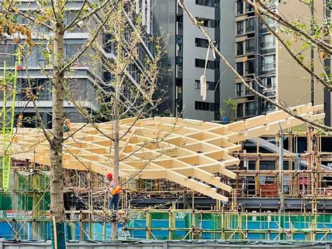 Timber Structure Shade Structure Pool Shade Timber Roof Steel