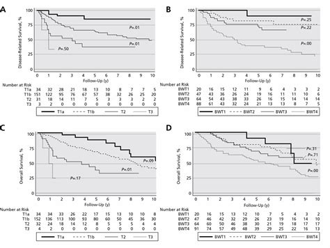 Evaluation Of Ajcc And An Alternative Tumor Classification System For