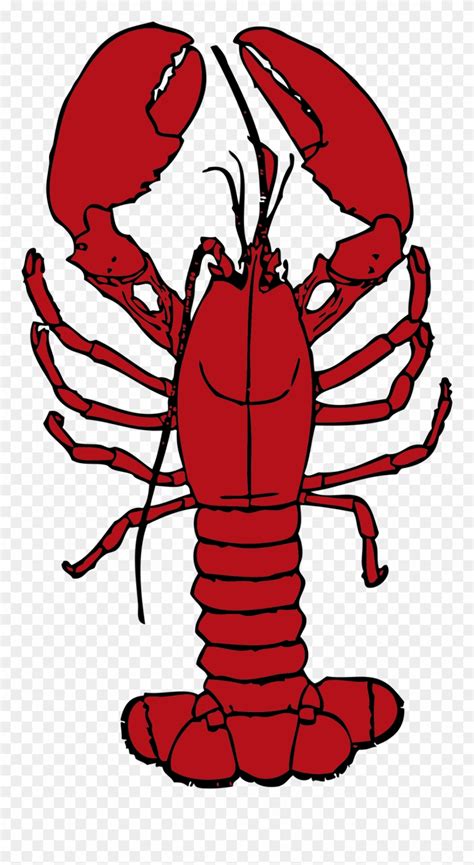 Download High Quality crawfish clipart Transparent PNG Images - Art