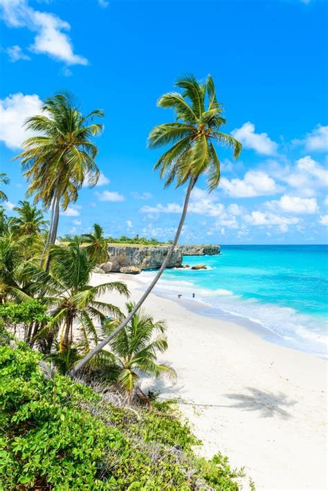 Bottom Bay Barbados Paradise Beach On The Caribbean Island Of Barbados Tropical Coast With