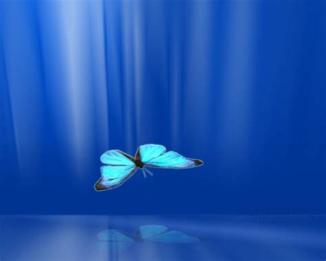If you're using multiple displays, this changes the wallpaper of your primary display only. 3D Butterfly Wallpapers - Wallpaper Cave
