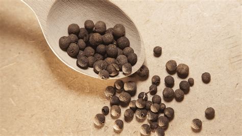 How To Grow Peppercorns Complete Guide Eutopyn