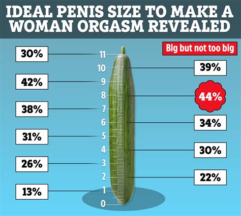 Ideal Penis Size To Make A Woman Orgasm Revealed And Tips To Make