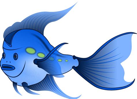 Blue Fish Clipart Free Download Transparent Png Creazilla