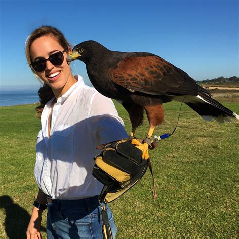Torrey pines gliderport also offers pilot training for more experienced gliders as well as clinics for pilots who want to refine their expertise. Falconry at Torrey Pines Gliderport: One of La Jolla's ...